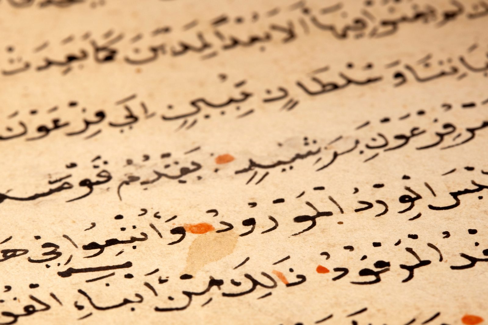 Under the Shadow of the Hūmā