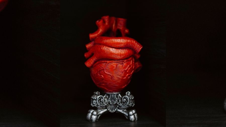 Between the Intellect and the Heart