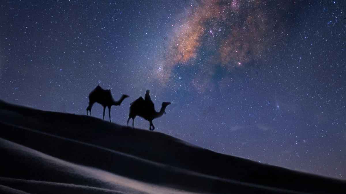 Do not search for a magical night