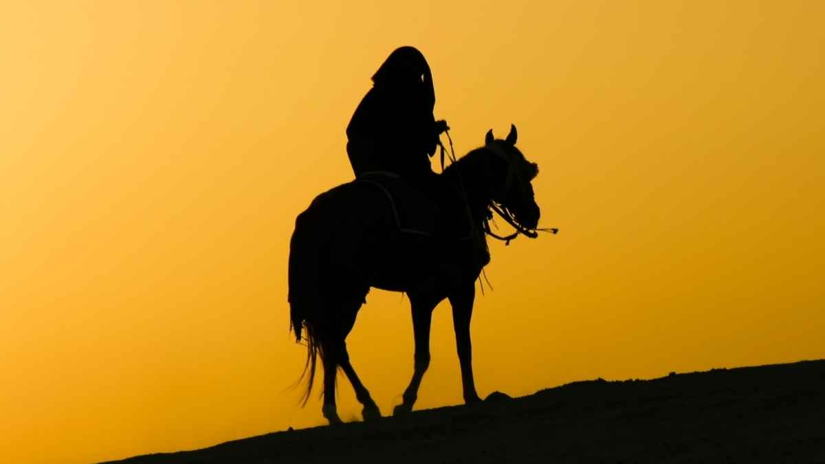 I am a Coward and an Ally of the Arabs