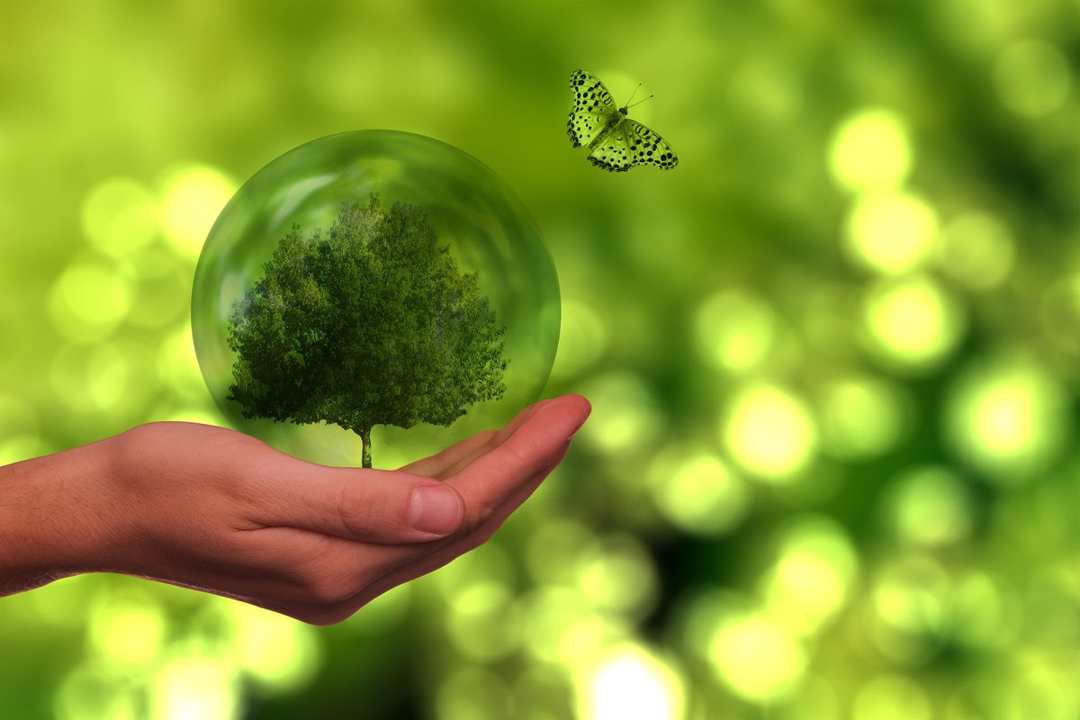 The Classical persistent western attitude to the natural world