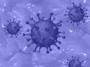 Guidelines for Muslims on Coronavirus Covid-19