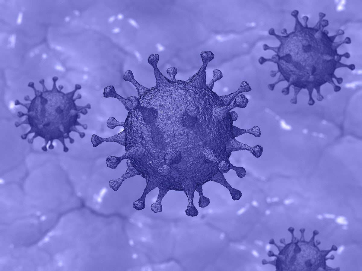 Guidelines for Muslims on Coronavirus Covid-19