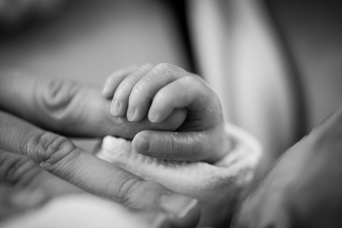 Surrogate motherhood
