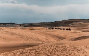 The Life of the Prophet: From the Passing of Abu Talib and Khadījah to the Hijrah