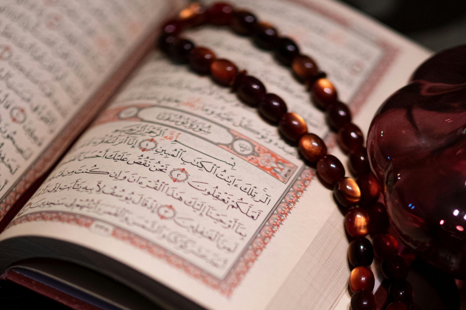 The Meaning of “And He taught Adam all the names”