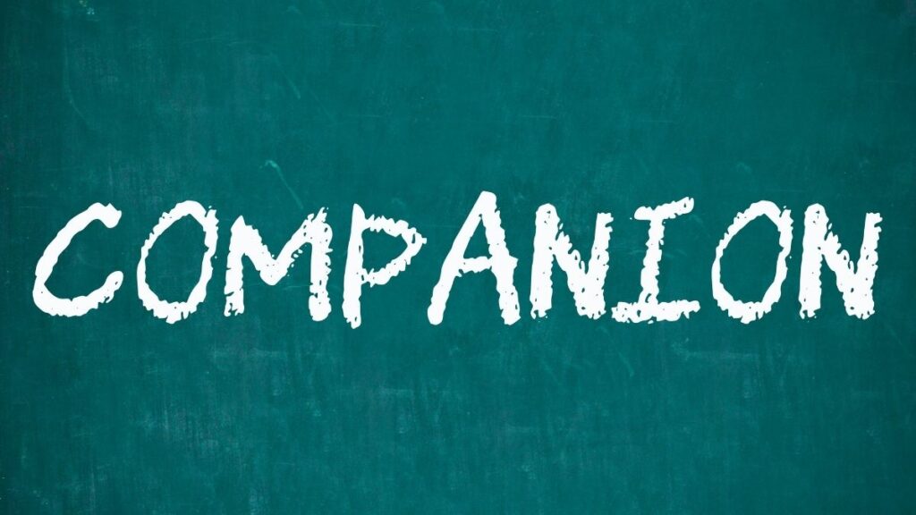 Meaning of Companionship