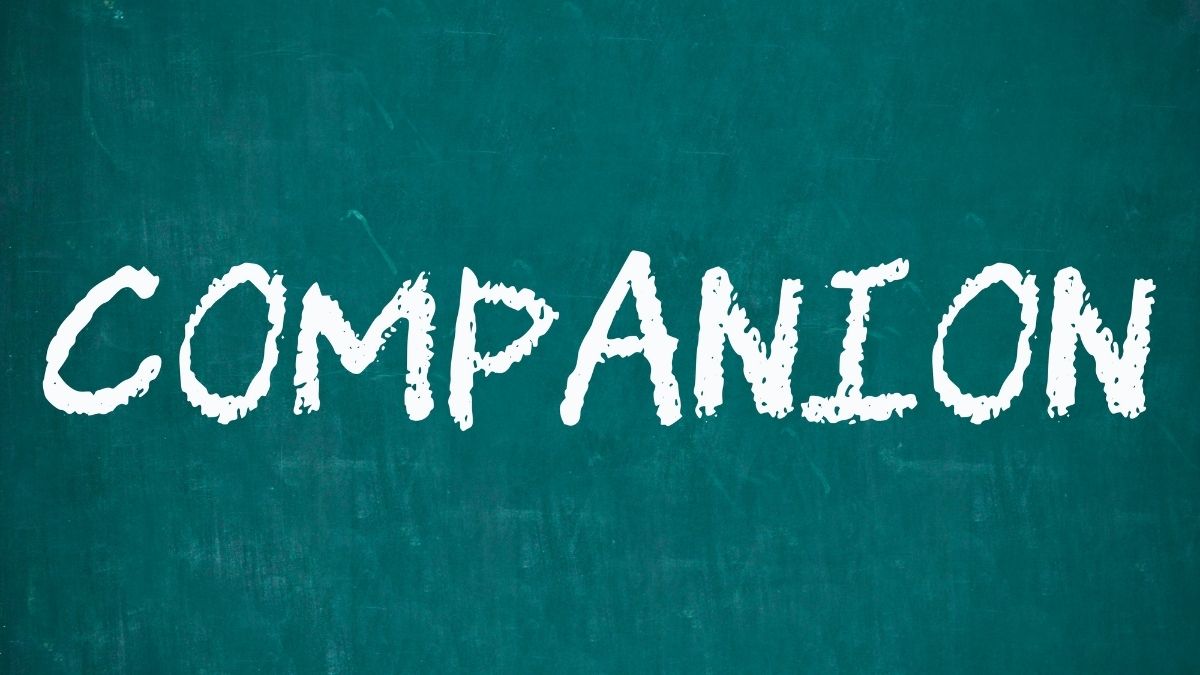 Meaning of Companionship