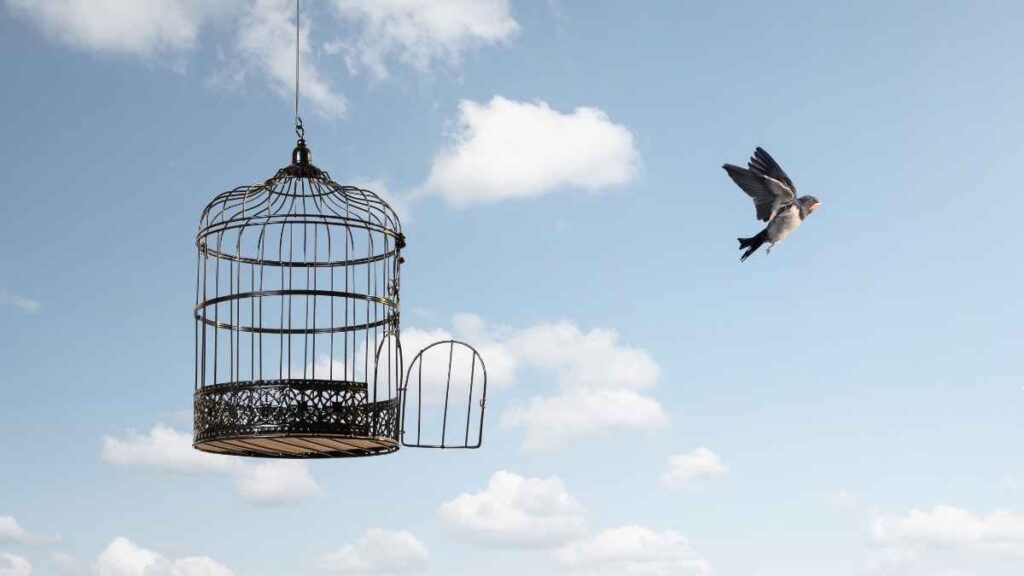 Releasing the Cage from the Heart of the Bird
