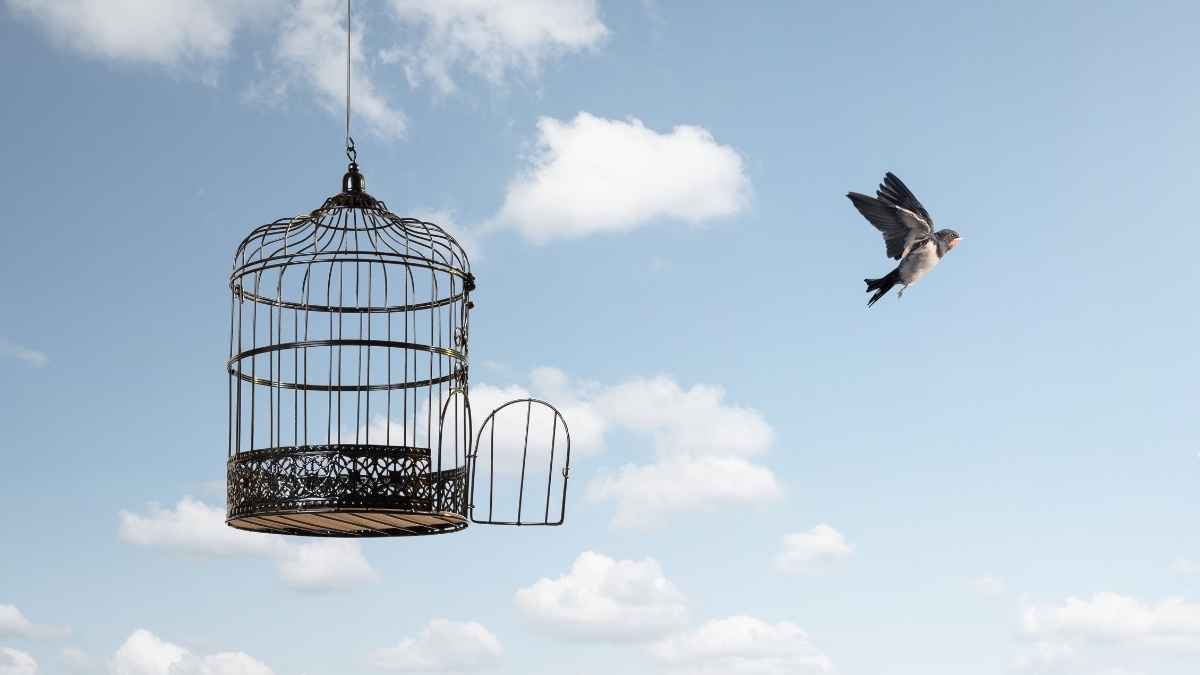 Releasing the Cage from the Heart of the Bird