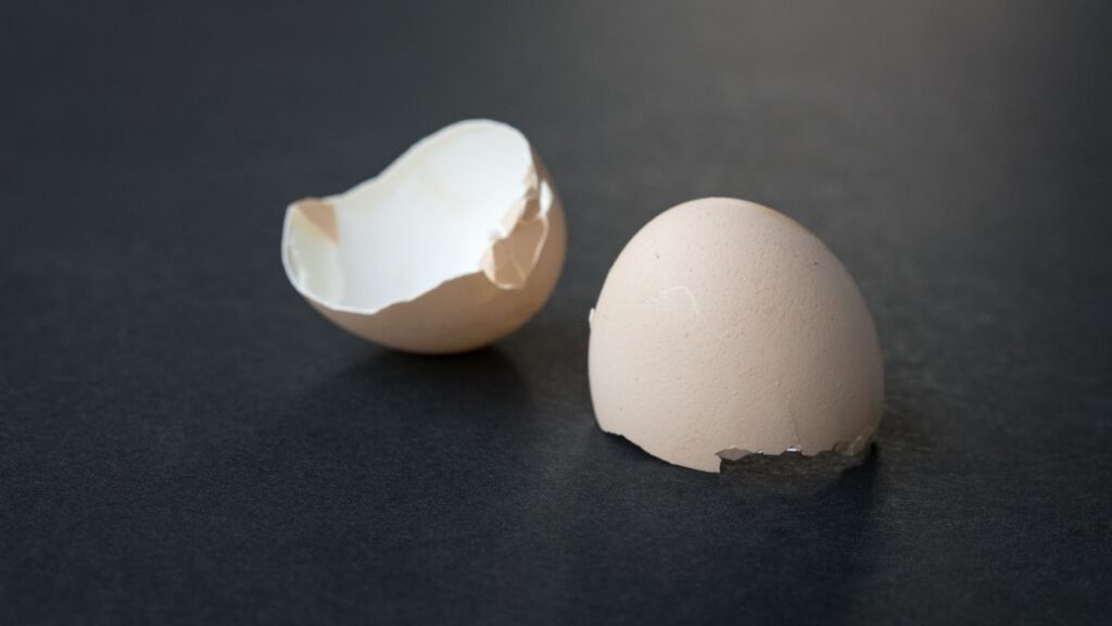 Reminder: When the egg hatches