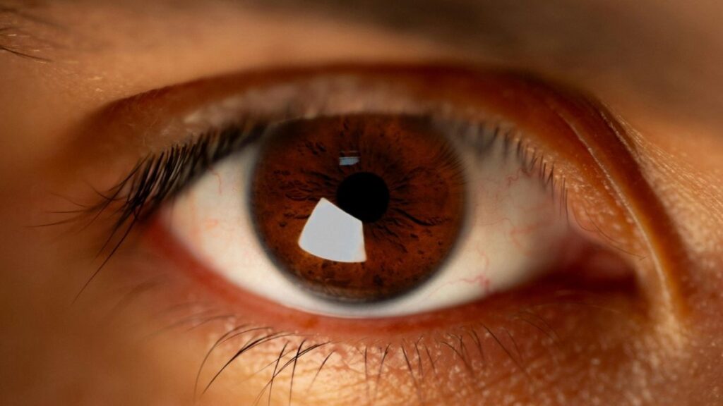 See the World Through the Eyes of Mawlānā Abū al-ʿIrfān Nadwī