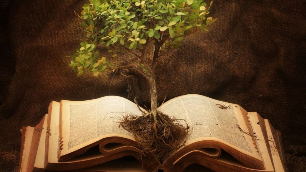 The Beginning of Knowledge and the First Duty