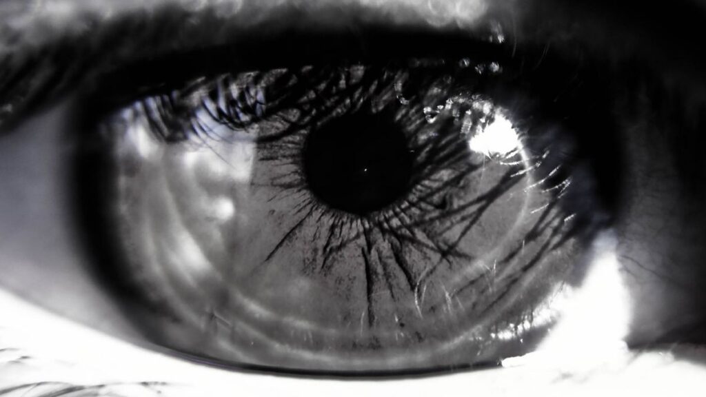 The Eyes Were Made to See You