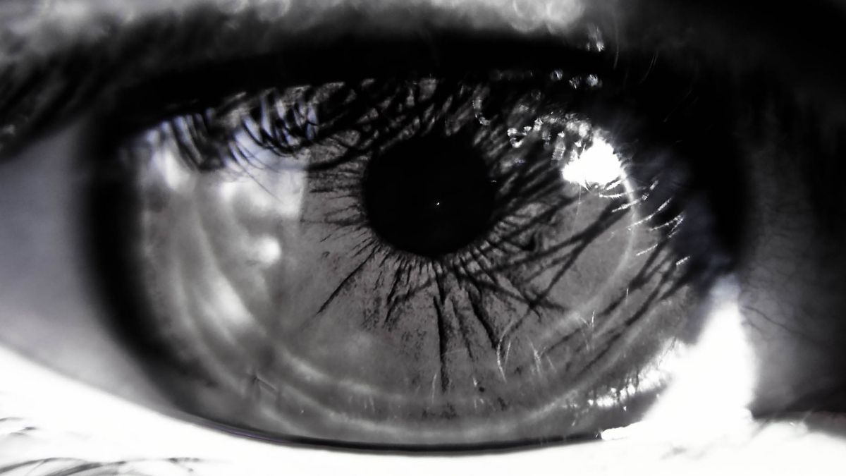 The Eyes Were Made to See You