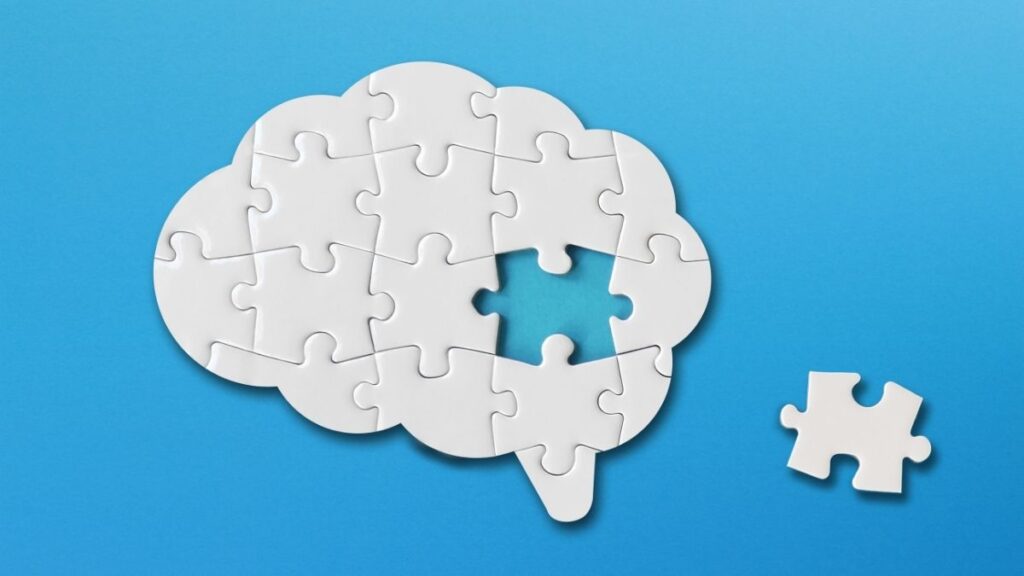 The Puzzling Mind: A Call to Contemplative Inquiry