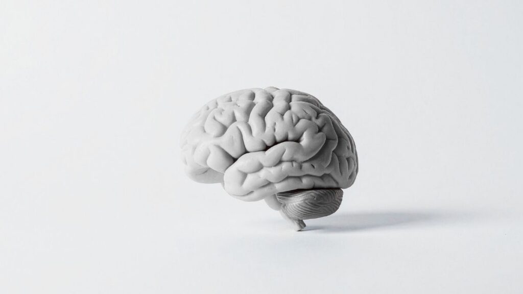Why do you use your mind?
