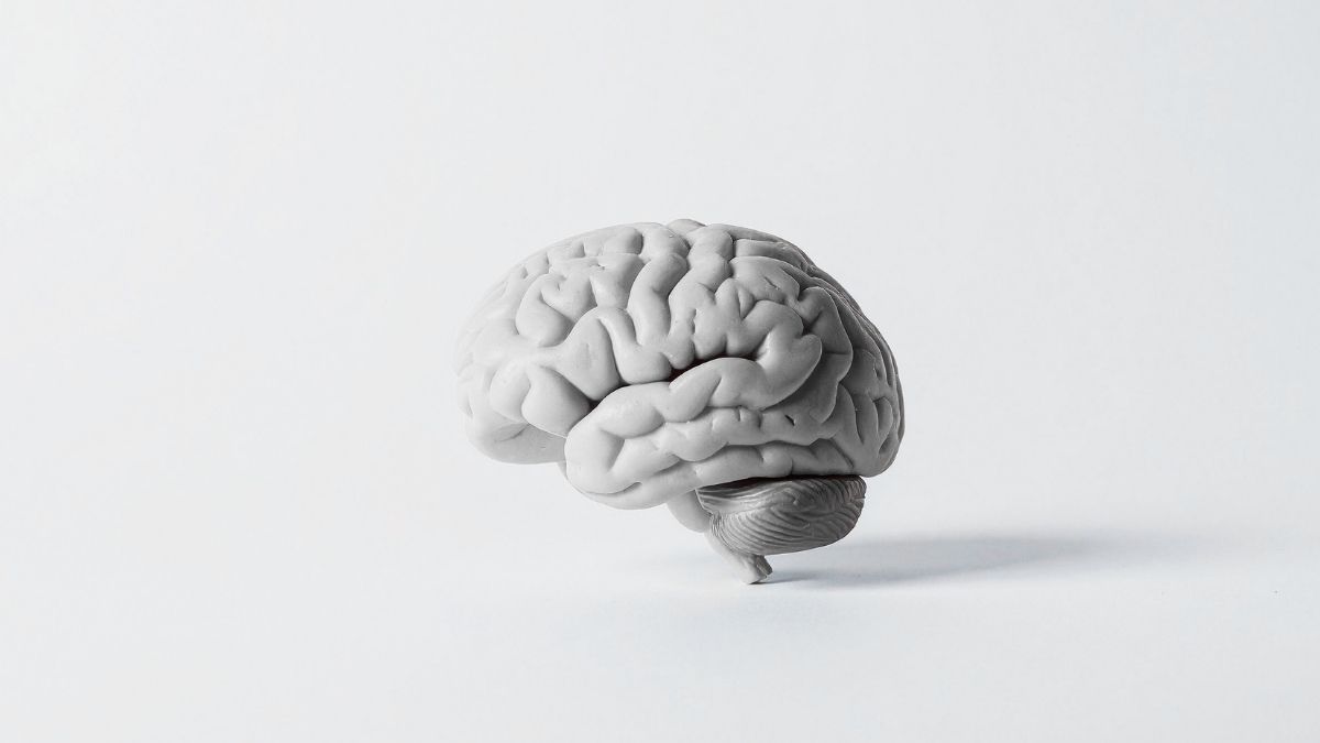 Why do you use your mind?