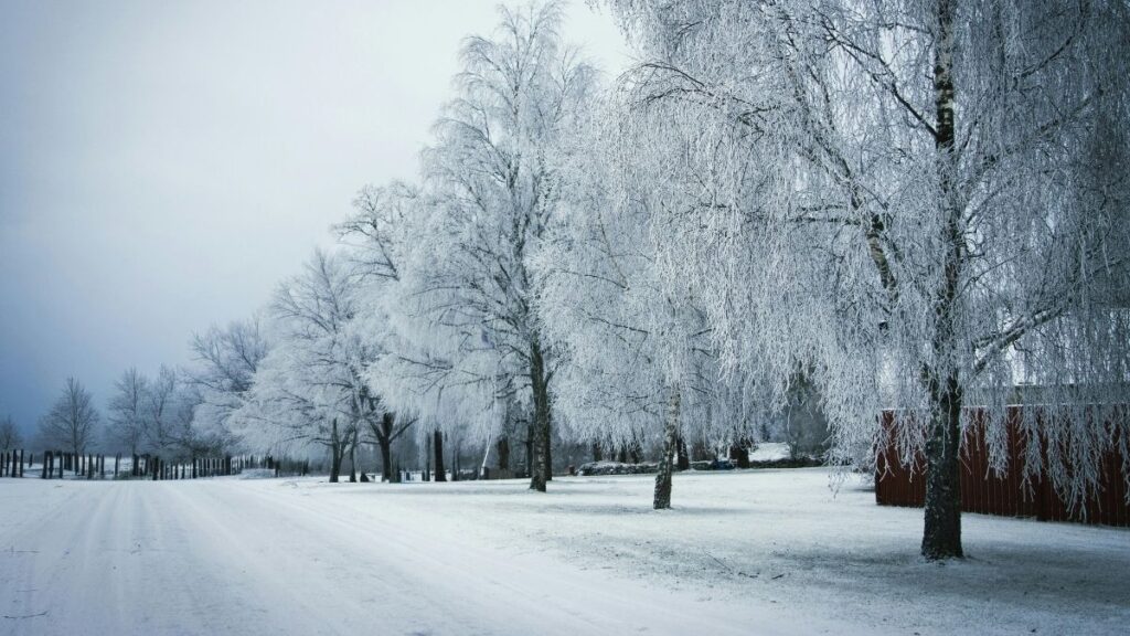 Two Winters, One Man