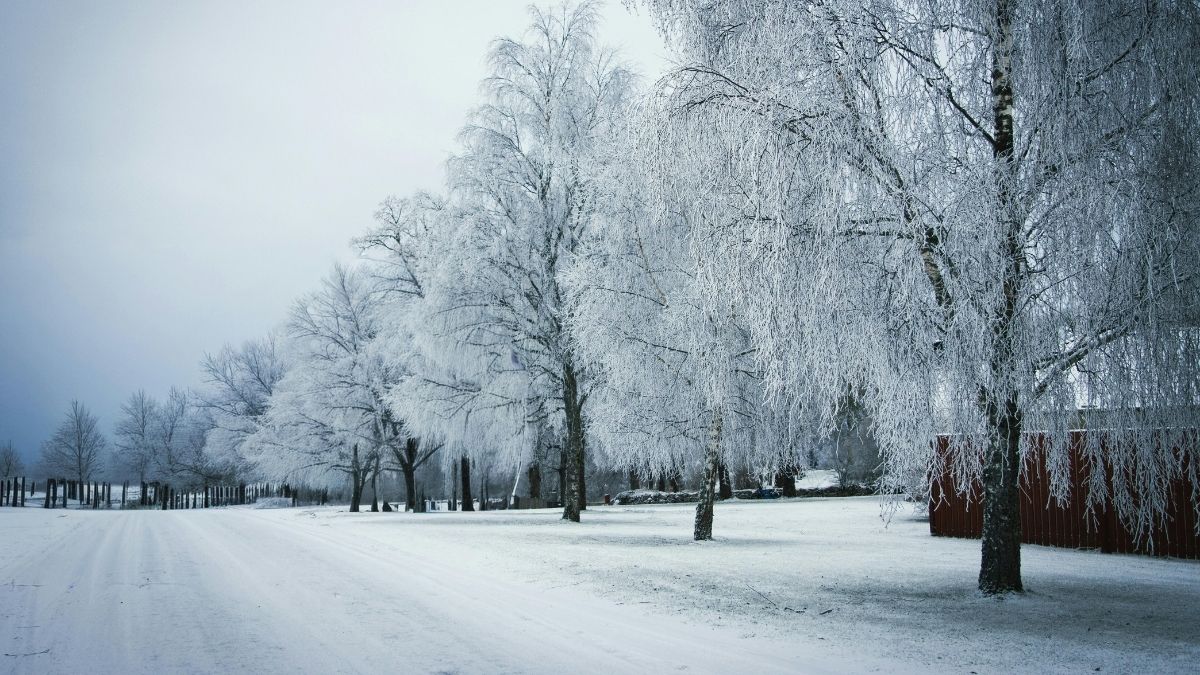 Two Winters, One Man